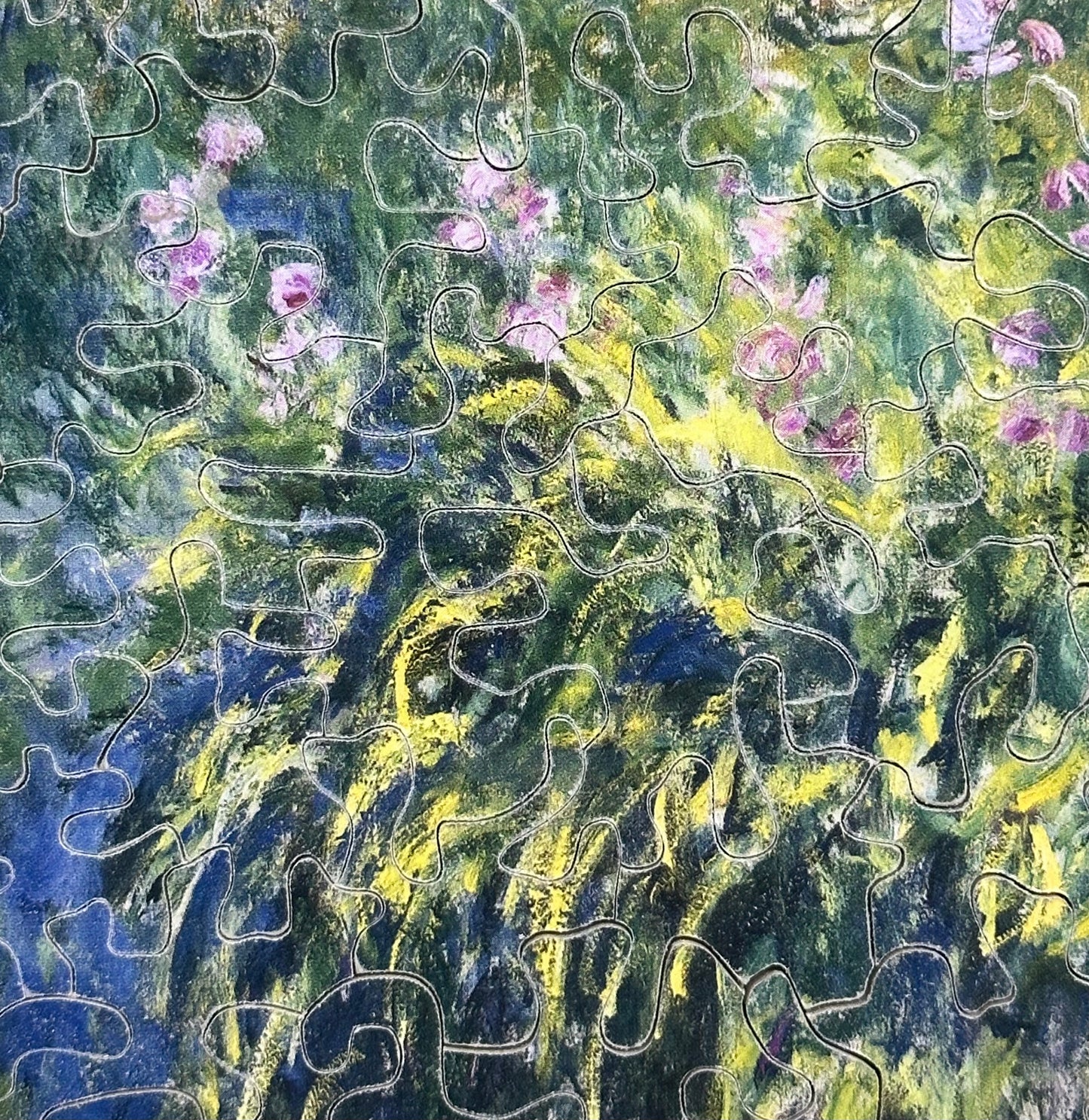 Debut Monet