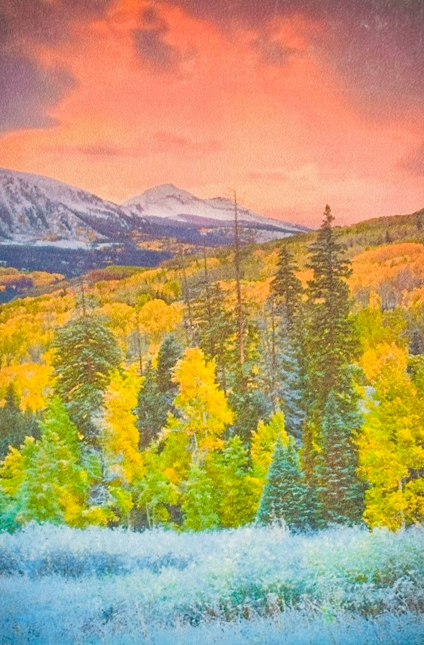 Fall Aspen Kebler Pass