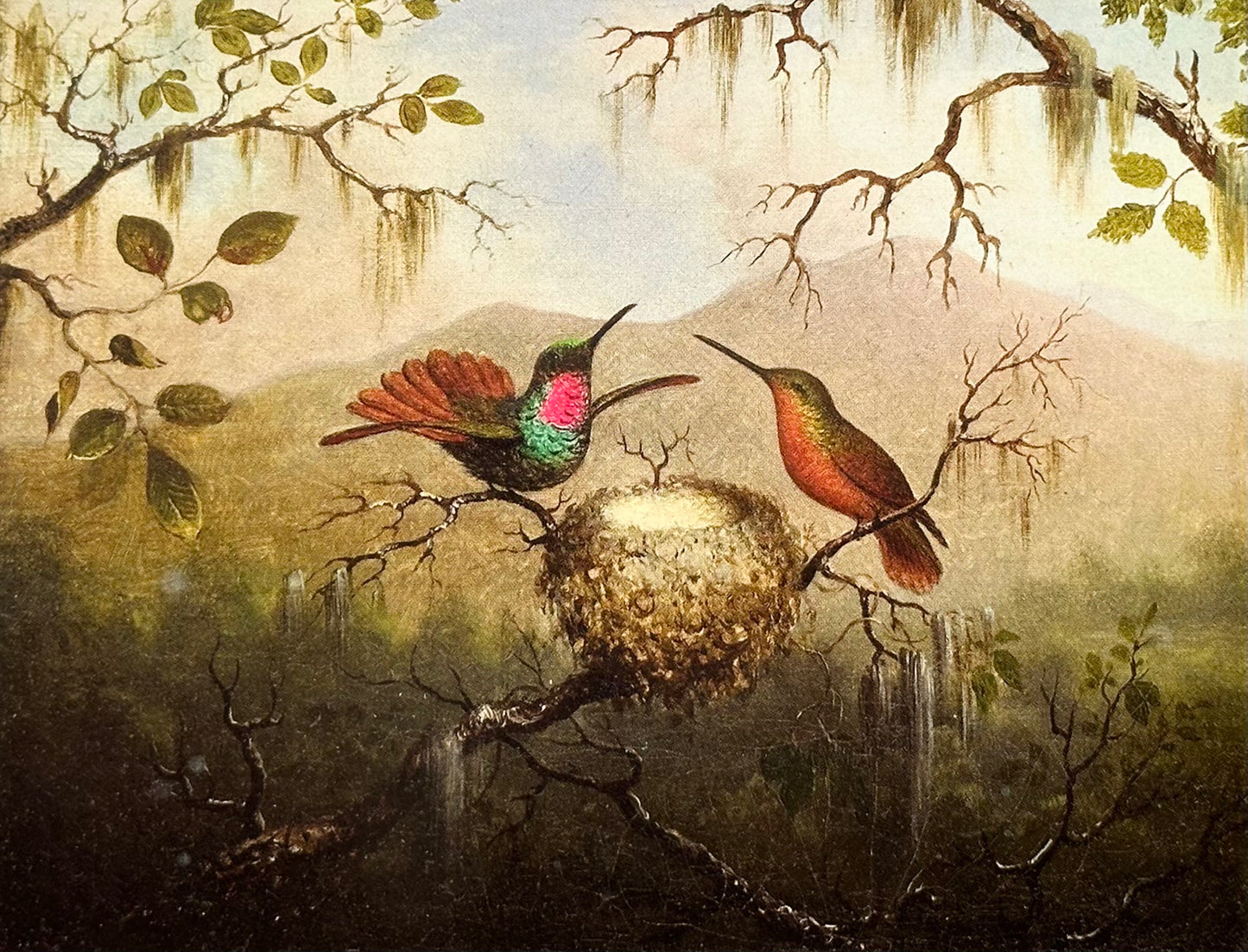 Two Hummingbirds at Nest