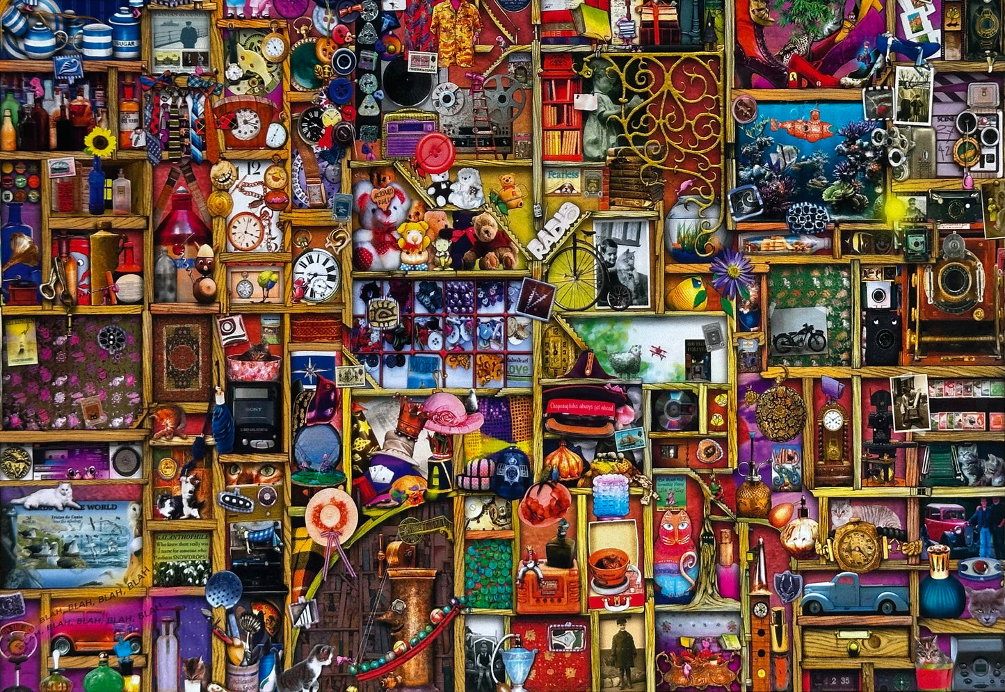 The Collector's Cupboard