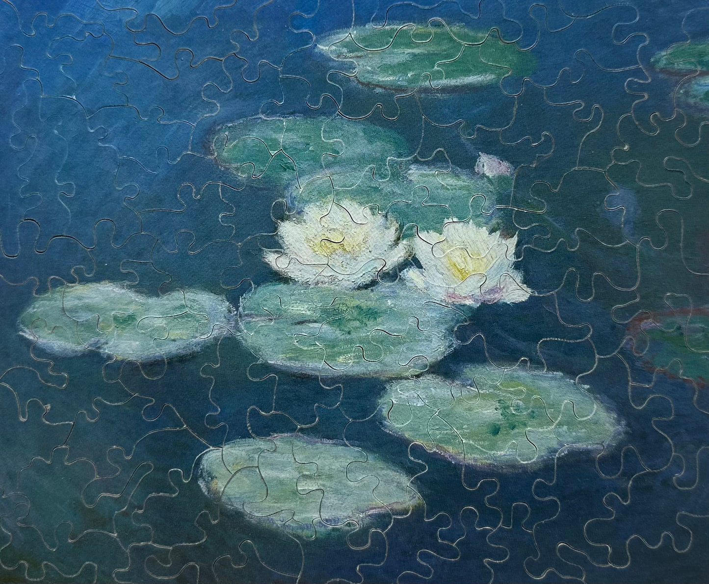 Two Water Lillies