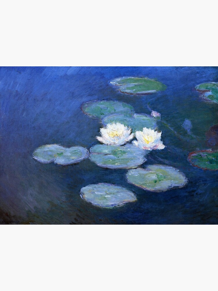 Two Water Lillies